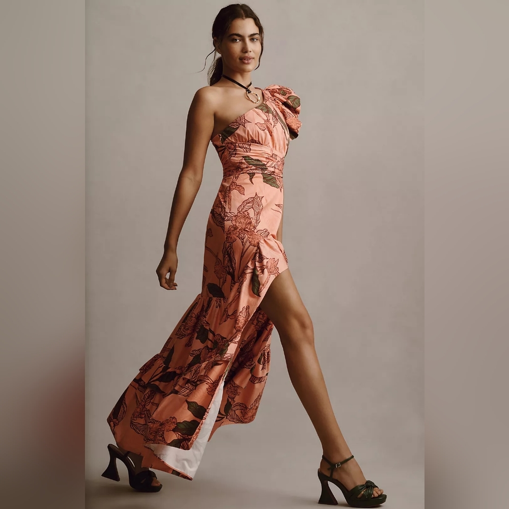 Hutch One-Shoulder Ruffle Maxi Dress - Picture 6 of 6